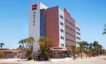 Ibis Paranagua