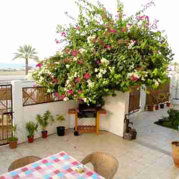 Lana Villa Hotel Exterior