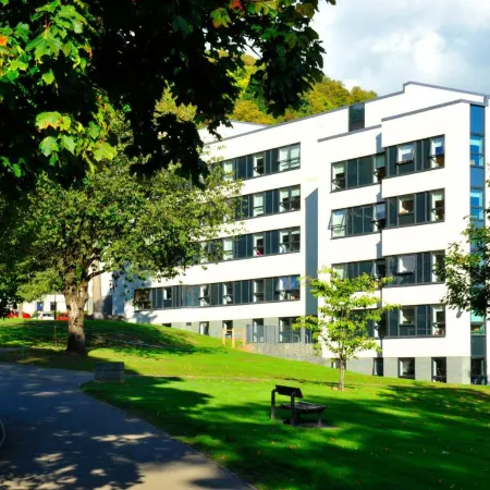 Juniper Court