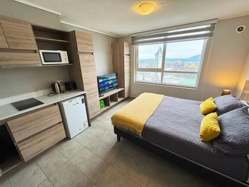 Apart Hotel Bauerle & Apartamentos Hotels in Temuco