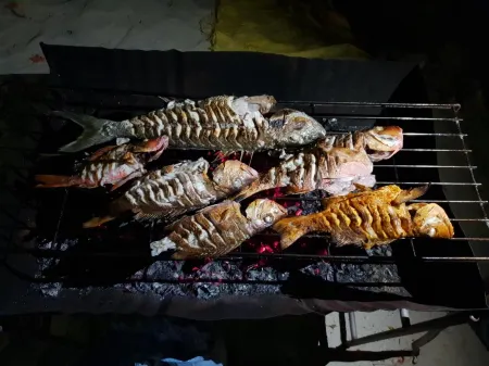 Blue Coral Vashafaru Maldives Отели в г. Dhonakulhi