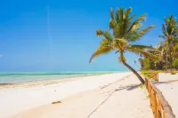 VRclub Paje Palms Beach Resort - Beach
