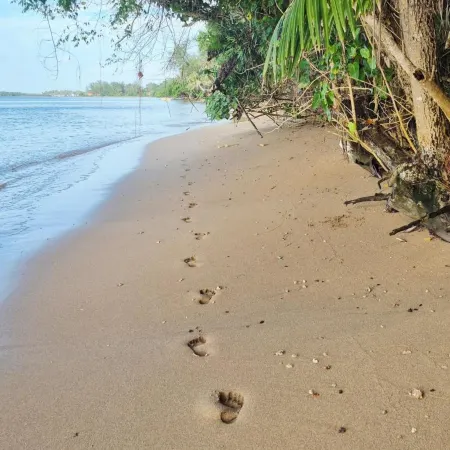 Slice of Paradise with Private Beach