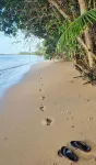 Slice of Paradise with Private Beach - en bord de mer