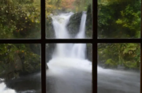 엘러브룩 하우스