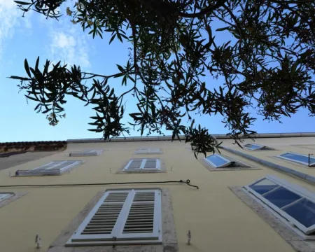 Apartments and Rooms Oliva Hotels in Cres