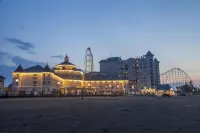 杉樹角熱浪酒店