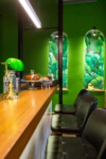 The Frogs_Guest House