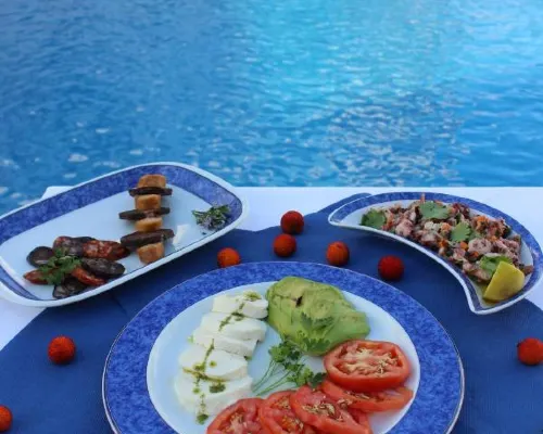 Vicentina Hotel Hotels in Aljezur