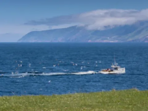 The Archie & Isidore Hotel Hotels in Cheticamp