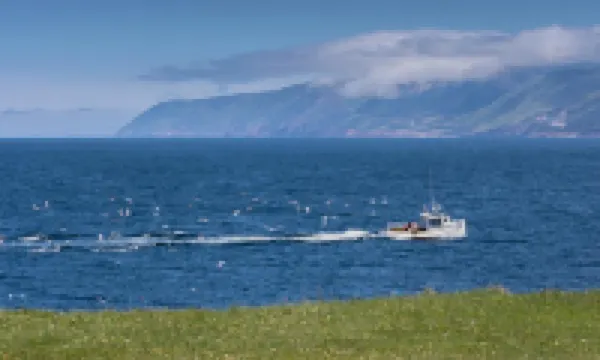 The Archie & Isidore Hotel Hotels in Inverness County