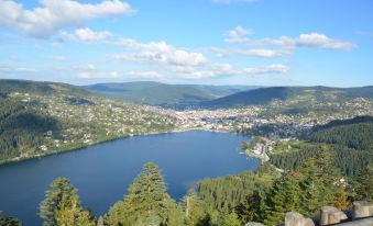 Les Reflets du Lac