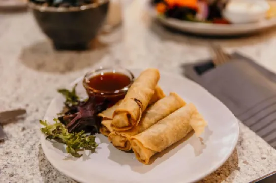 Outback Motel Mt Isa