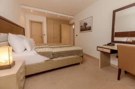 Hotel Vojvodina Отели в г. Ечка