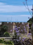 MARE Suite