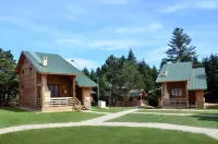 Uludag Orman Koskleri Hotels in Kestel