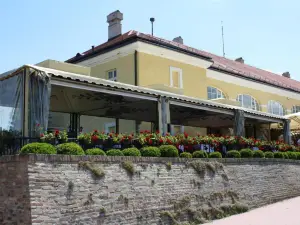 Top 13 Four-Star Hotels in South Backa District