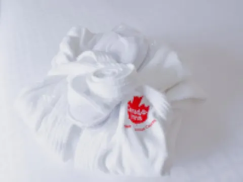 Canad Inns Destination Centre Brandon Hotels in Brandon