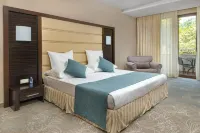 Pirin Park Hotel Hôtels à : Sandanski