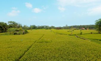 Thantha Ubud Villa