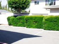 Discovery Inn Hotels in Hayward