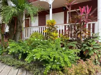 Alux House فنادق في 