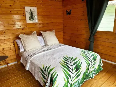Chalets Chomoni Hotels near Mount Karthala