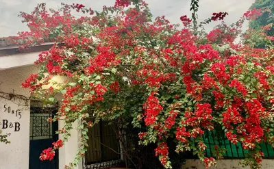 50N15 B&B Hotels in Yumbo