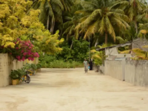 Lvis Blancura Hotel Hotels in Dharavandhoo Island