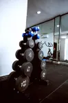 Tranquil Oasis - Gym
