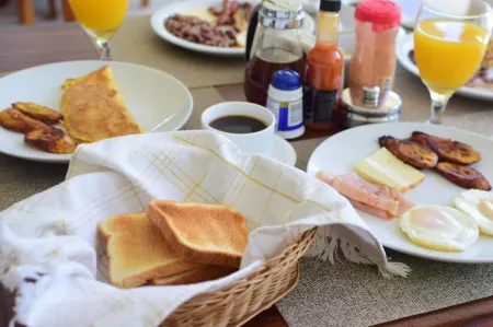 Hotel Fontana Отели в г. Манагуа