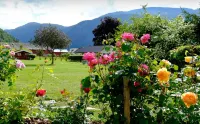 Dalsøren Camping og Hytter Các khách sạn ở 