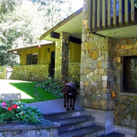 Misty Meadows B&B
