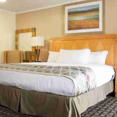 Mount Royal Inn Rooms