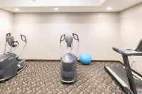 Rodd Royalty - Gym