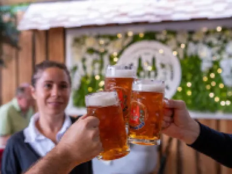 Hotel Domhof Hotels in Speyer