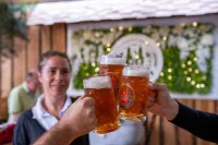 Hotel Domhof فنادق في Germersheim