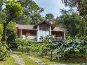 維蒂裡迷霧度假村