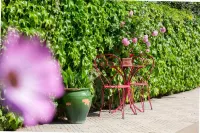 Casa-Belle Hotels in Vendres