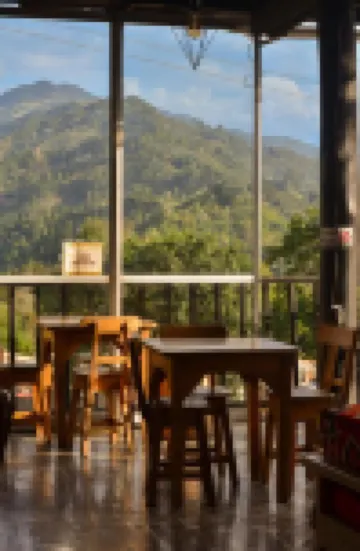 Coffee Tree Boutique Hostel