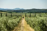 Tenuta Il Cicalino Hotels in Massa Marittima
