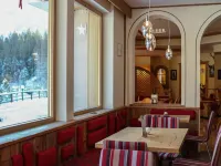 Hotel Plank Hotels in Siror