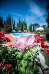 Villa Luisa - Pools