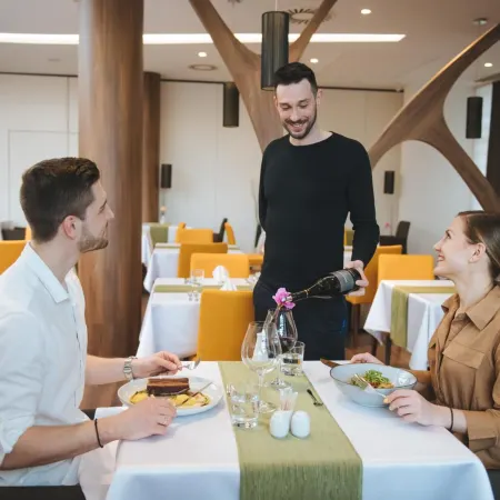 Imola Hotel Platan