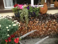 Hotel Schöntal - balcony
