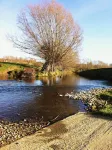 Whitchurch Farm Guesthouse