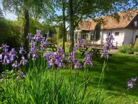 Golden Ball Hotel Hotels in Cambourne