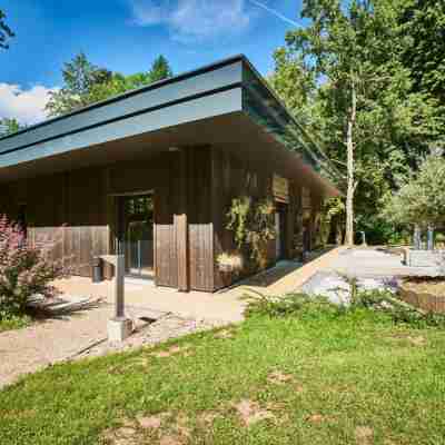 Château de La Dame Blanche - Logis Hotel Exterior