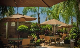Hotel Maioris Kumate Culiacán