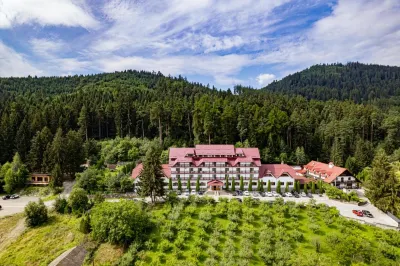 Q Resort and Spa Hotels near Timiș